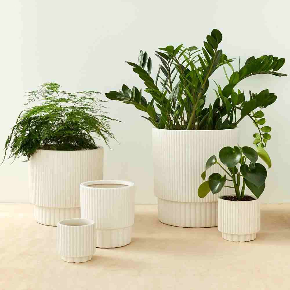 Fluted Planters - White