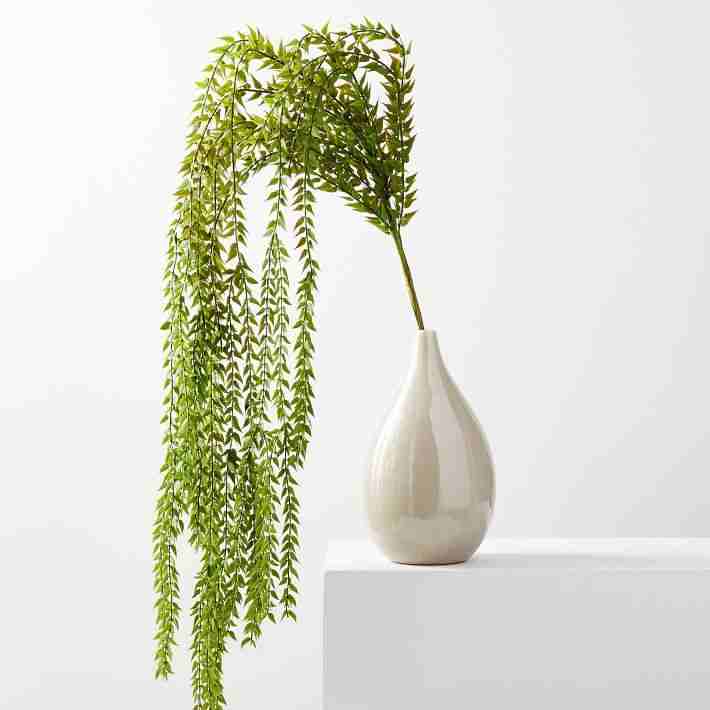 https://cdn.fynd.com/v2/falling-surf-7c8bb8/fyprod/wrkr/products/pictures/item/free/original/west-elm/Faux-Botanicals-Baker-Fern-D6067-Green4368/2/6gNvw55yiZ-8071093_4.jpg