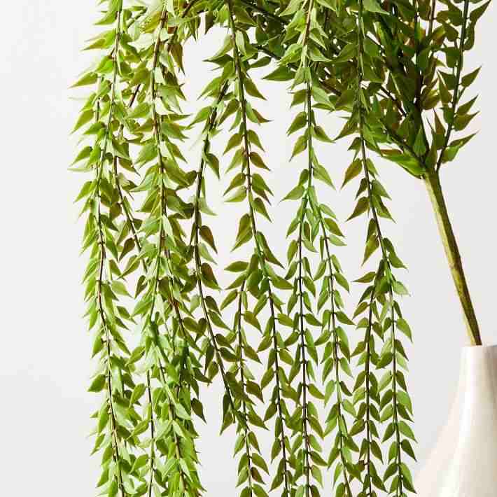 https://cdn.fynd.com/v2/falling-surf-7c8bb8/fyprod/wrkr/products/pictures/item/free/original/west-elm/Faux-Botanicals-Baker-Fern-D6067-Green4368/3/45koSsTH5i-8071093_5.jpg