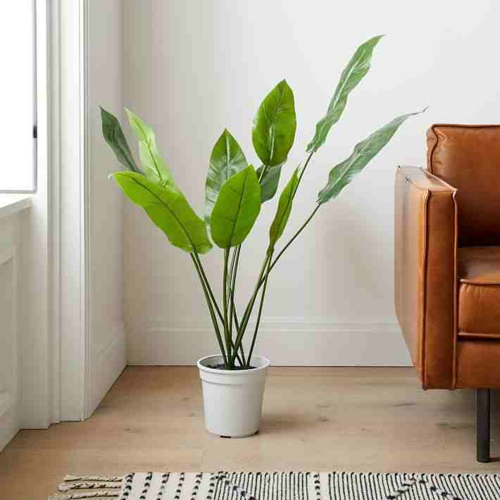 Faux Bird of Paradise Plant With White Plastic Pot