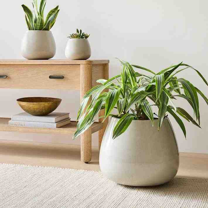 Pure Ceramic Floor Planter, Shellish Gray