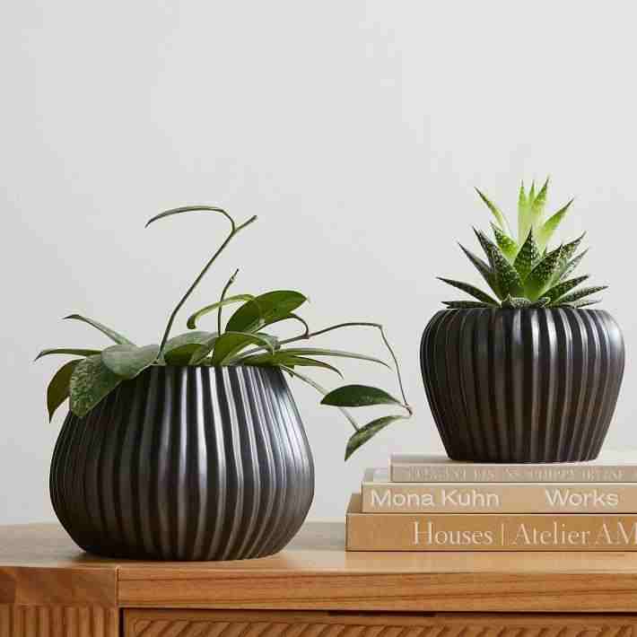 Sanibel Ceramic Tabletop Planter, Black