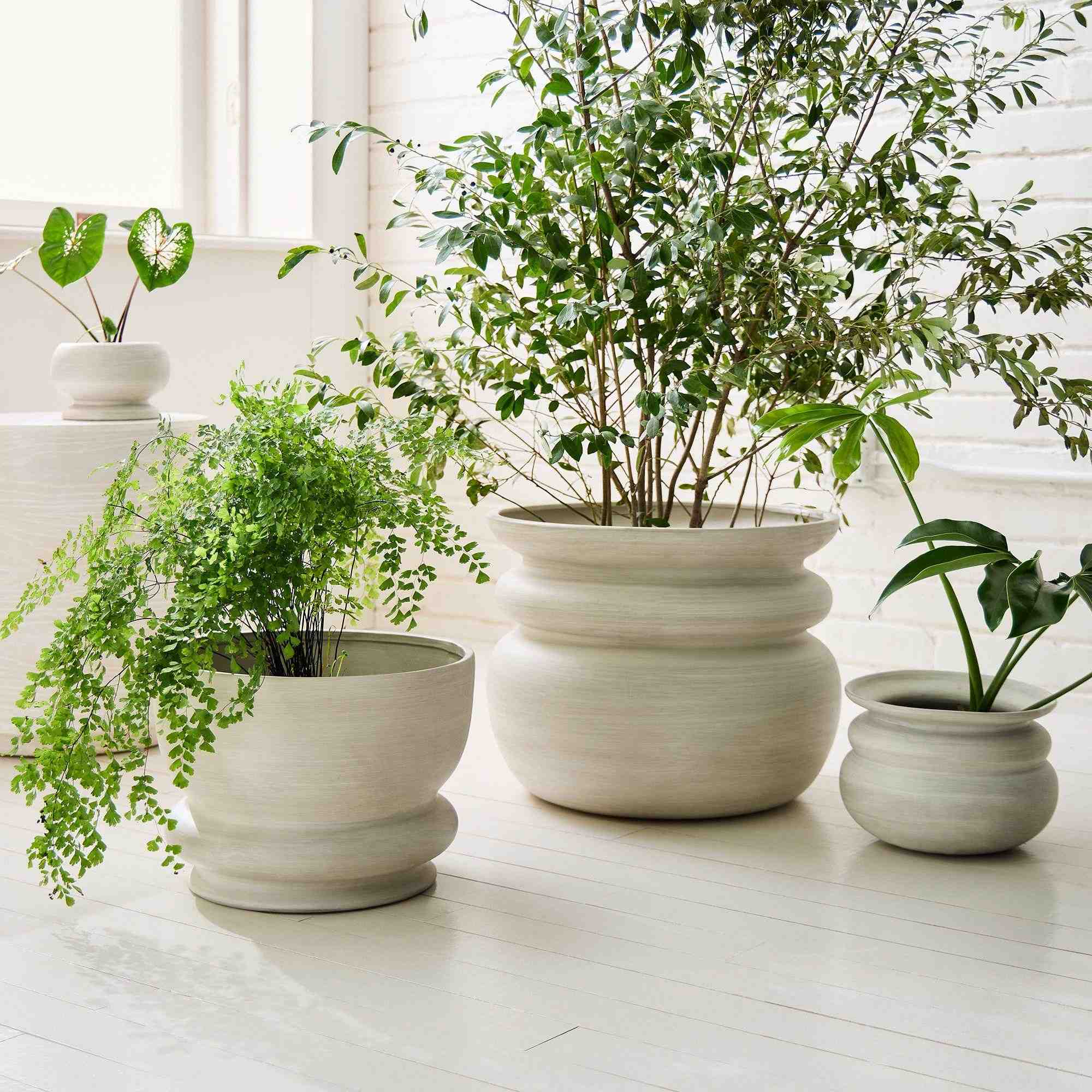west elm | Alana Ceramic Indoor/Outdoor Planters