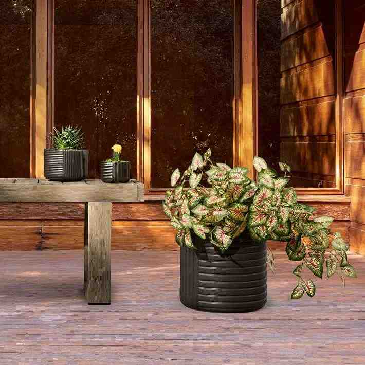 Cecilia Ceramic Indoor/Outdoor Floor Planter