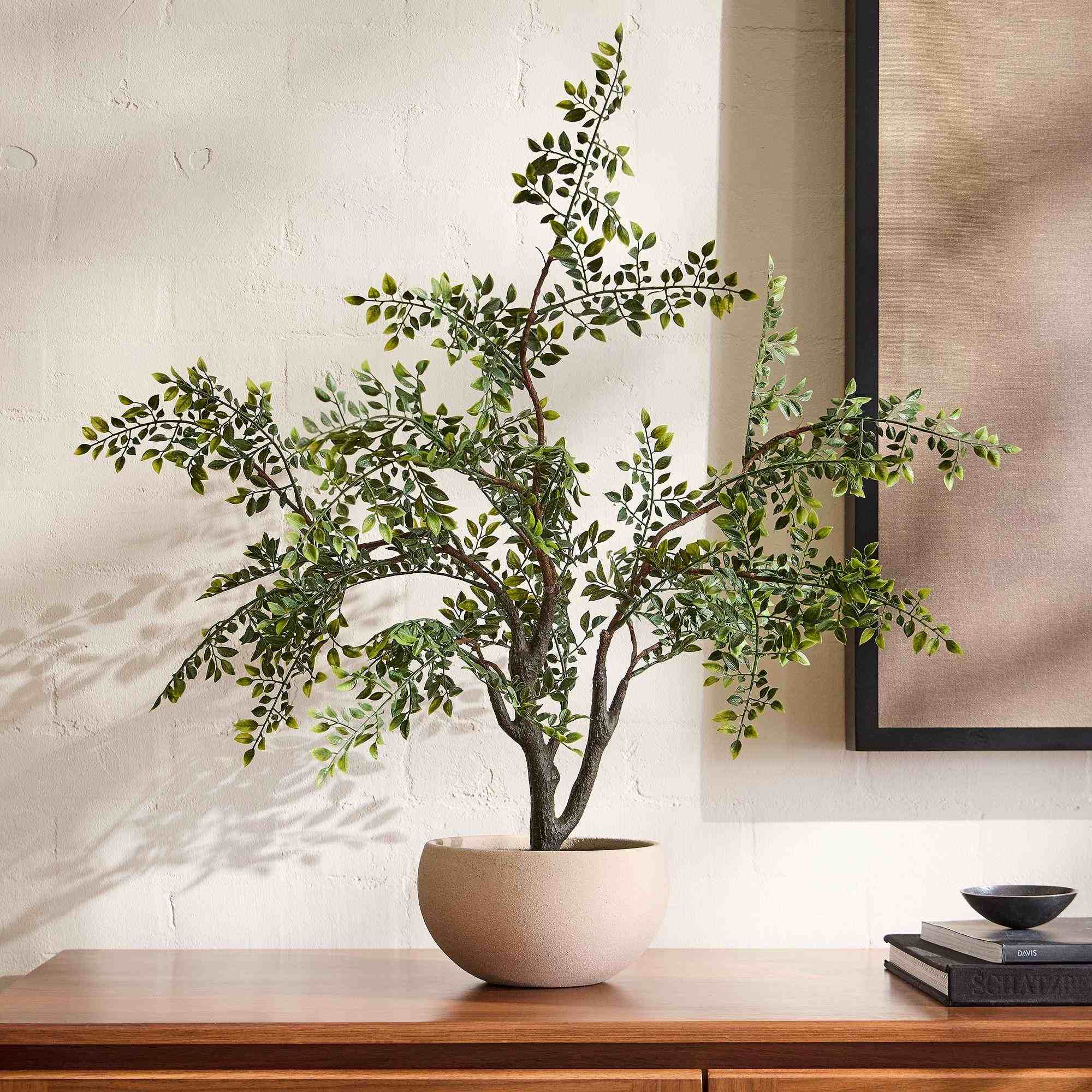 Faux Bonsai Tree