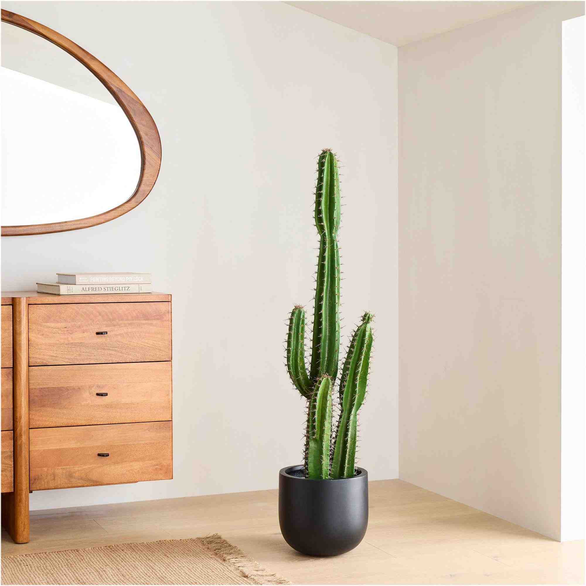 Faux Potted Cactus Plant