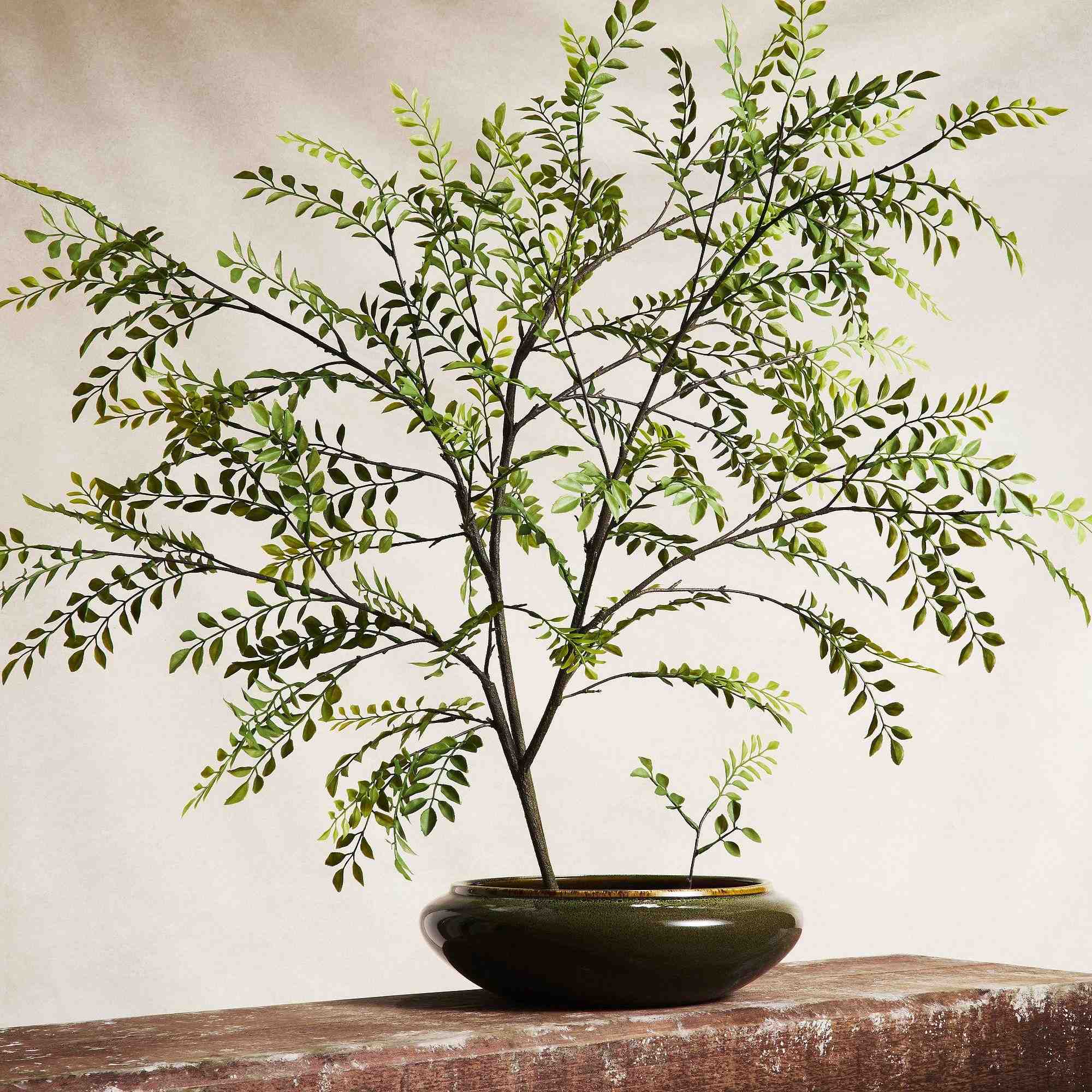 Faux Fern Branch