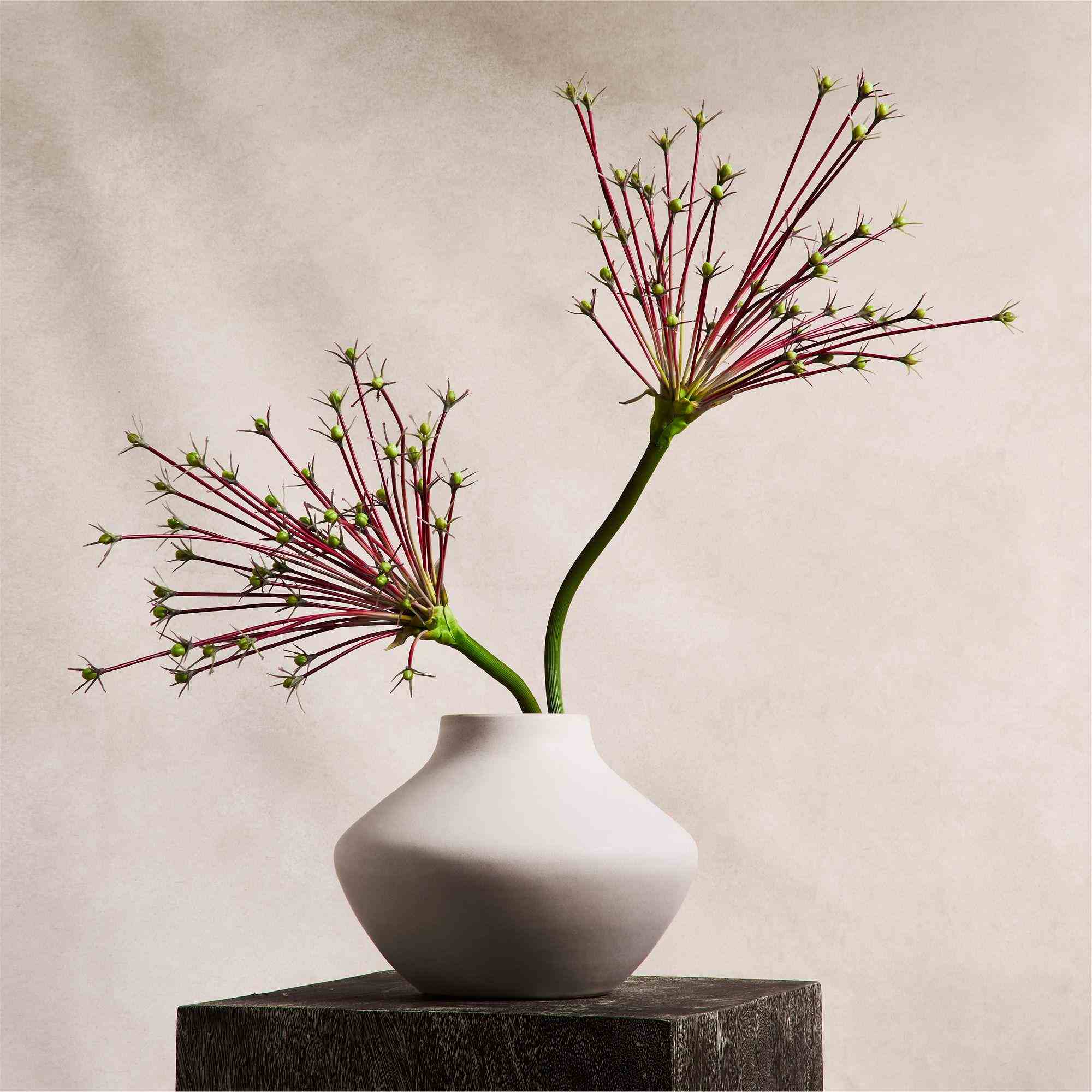 Faux Firework Allium Stem