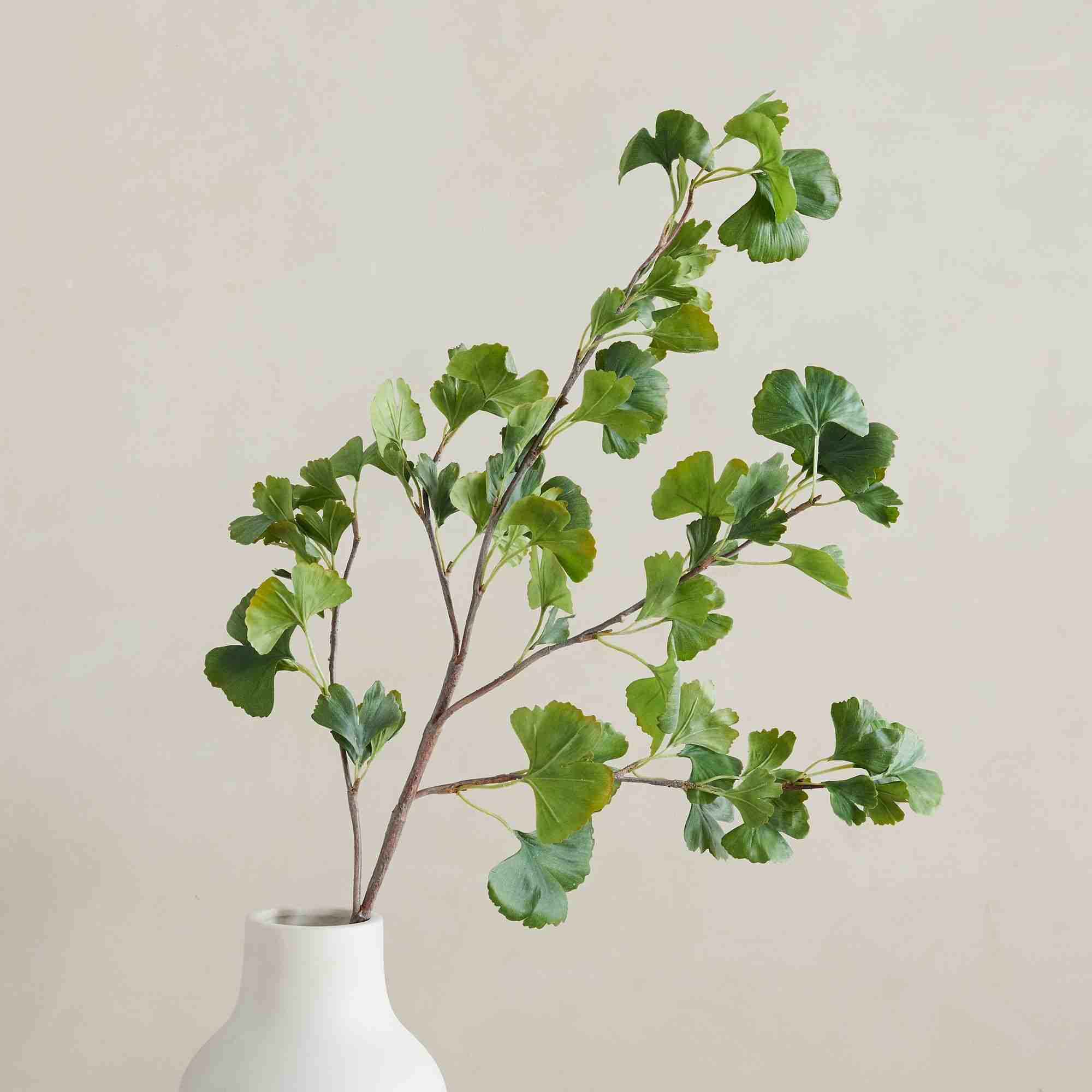 Gingko Leaf Branch48 inchesGreen