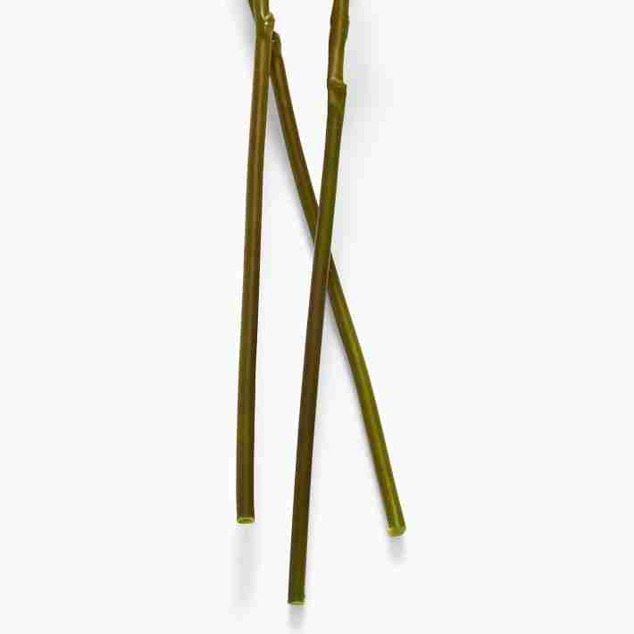Faux Harvest Branch