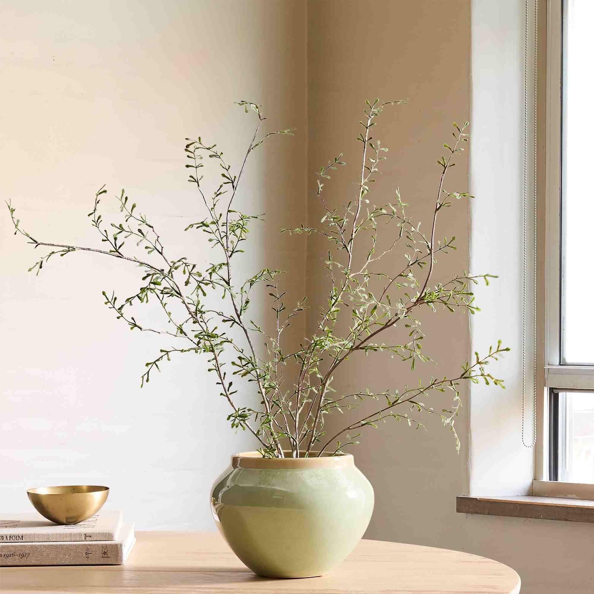 Faux Potted Sophora Prostrata Plant