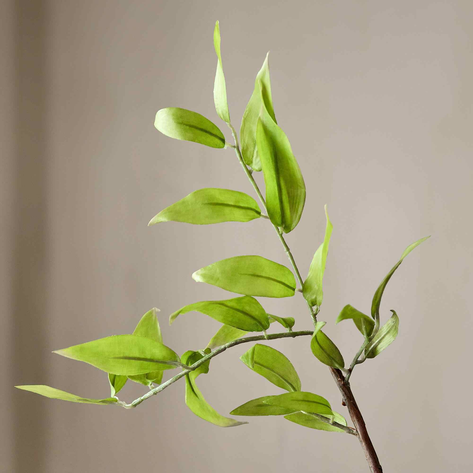 Faux Sweet Bay Magnolia Branch, Green