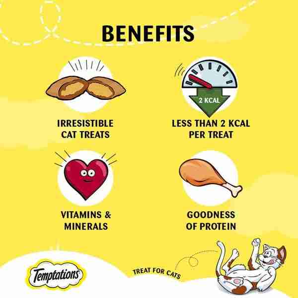 Temptations Tasty Chicken Cat Treat - 85 Gm