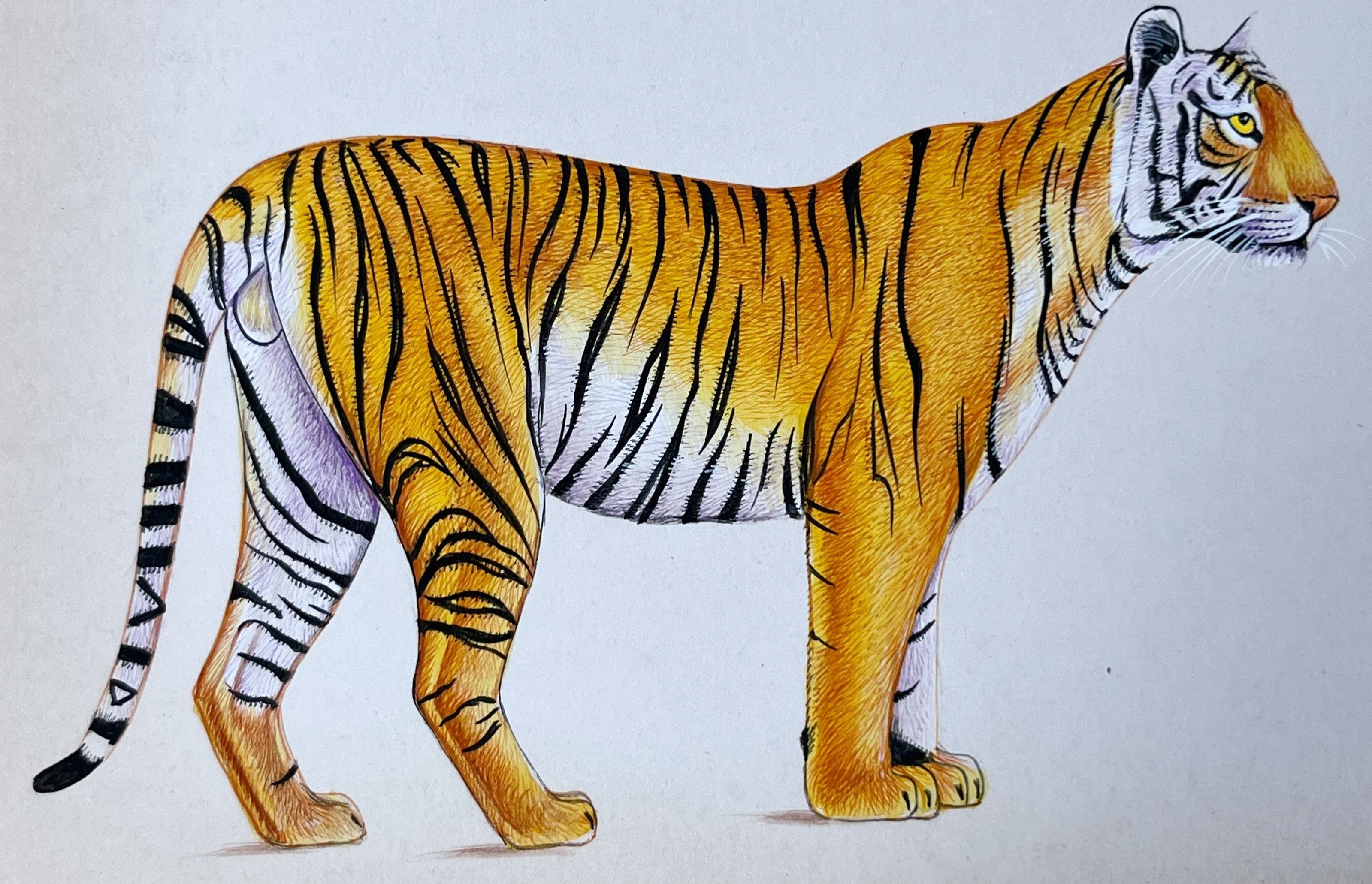 Realistic Tiger Miniature Painting