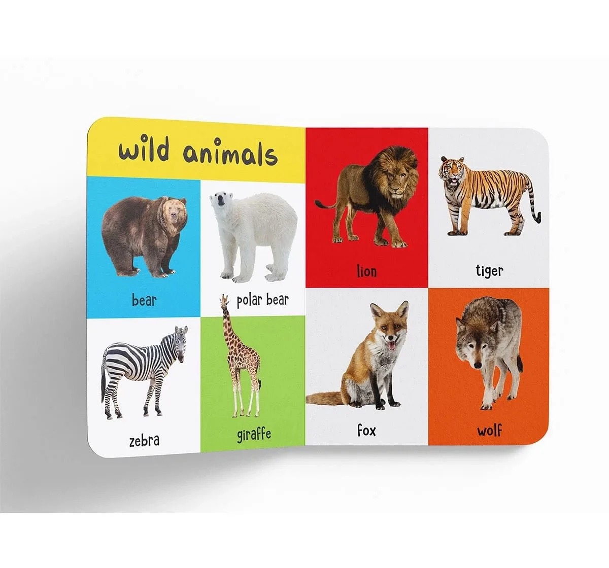 Animal House 4k スチールブック スペシャル版 イギリス版 ぬいきち on X: