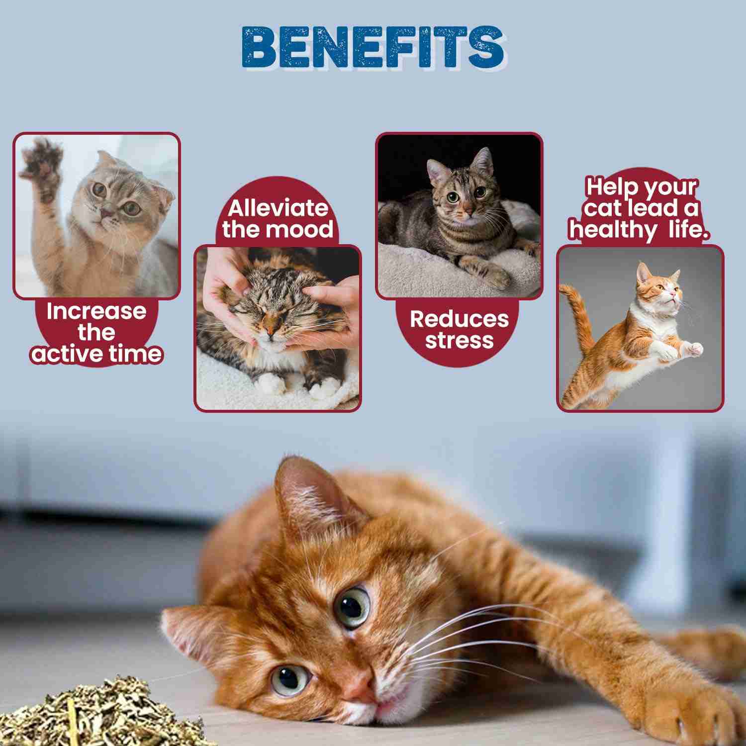 Trixie Premium Catnip for Cats, 20 g