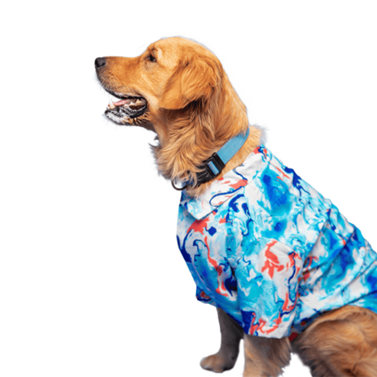 Ezra Polyester Blend Dog Shirt – Fluid