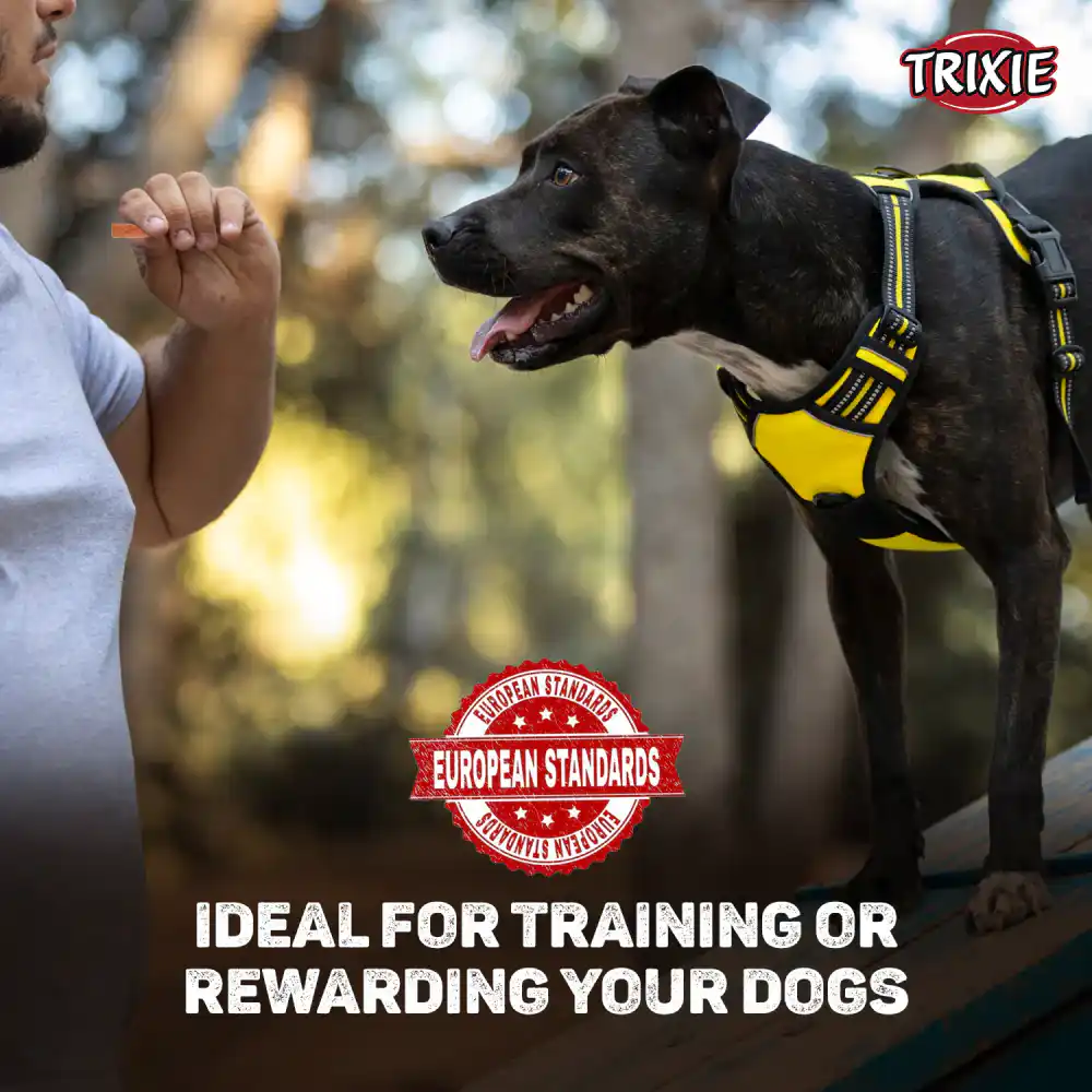Trixie Premio Cheese Chicken Stripes Dog Treats, 100 g