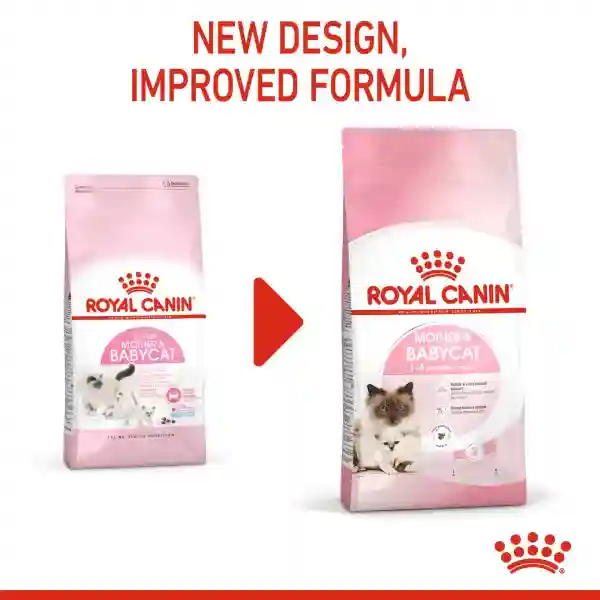 Royal Canin Mother & Baby Cat Dry Cat Food