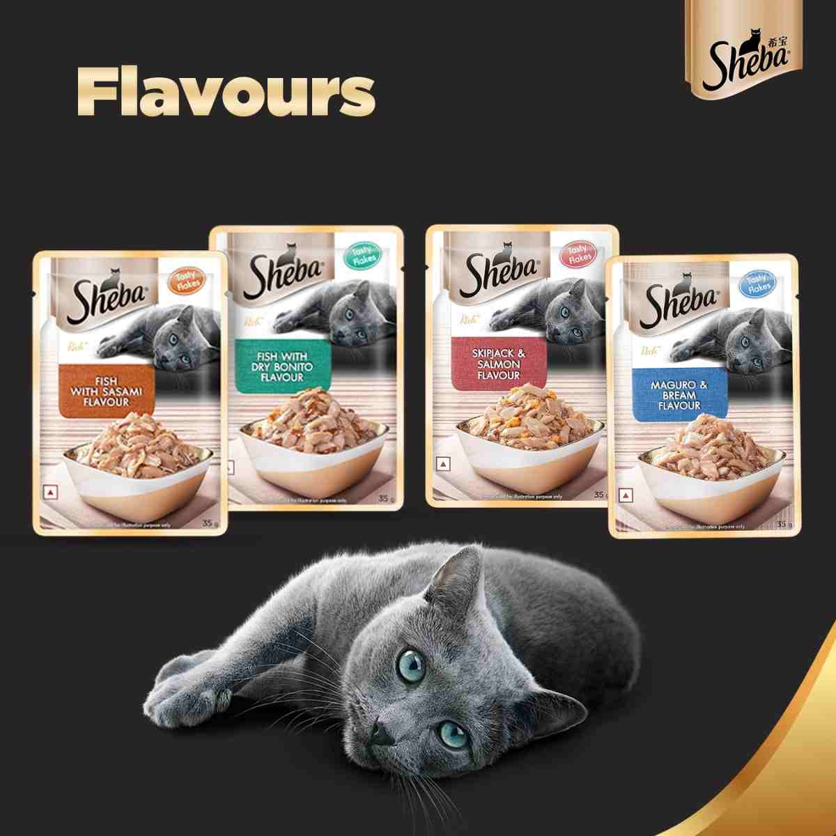 Sheba Premium Fish with Dry Bonito Flake Wet Cat Food - 35 gm