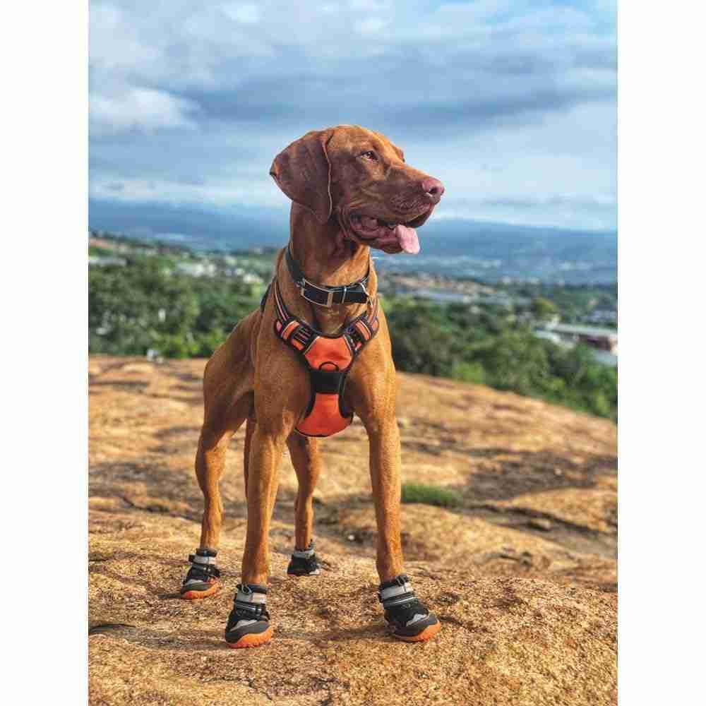 M-Pets Hiking Dog Shoes Anti-Slip Dog Boots for Rains, Snow, Cold, Hot & Rough Surfaces