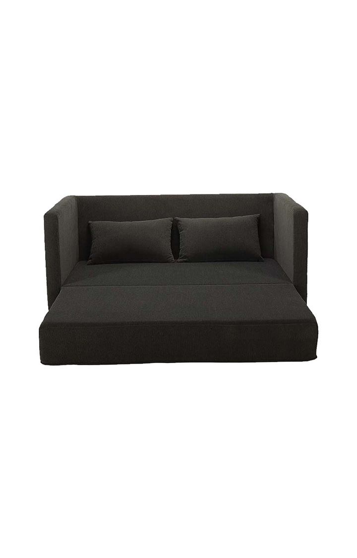 NEUDOT Max Fabric Pull-Out Sofa Cum Bed for Living Room | 2 Seater Sofa Bed for Drawing Room & Bedroom | Diwan | Chocolate Brown Color