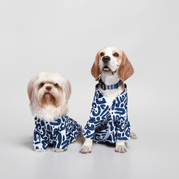 Ezra Polyester Blend Dog Shirt – Abstract Blue