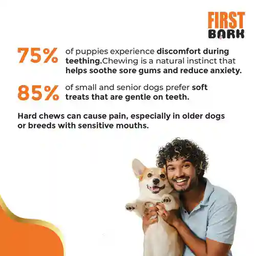 First Bark Chicken Slice with Cheese Jerky Dog Treat