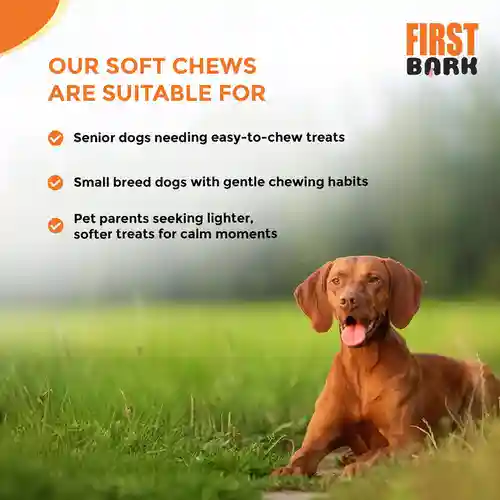 First Bark Chicken Slice with Cheese Jerky Dog Treat