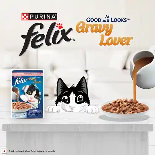 Purina Felix Gravy Lover Meaty Salmon Chunks Wet Cat Food, 70g