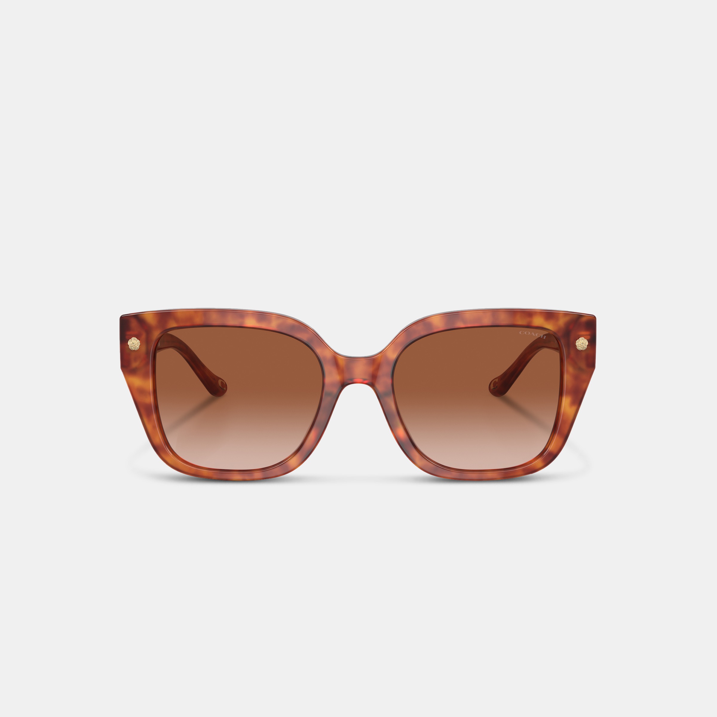 Charms Oversized Square Sunglasses