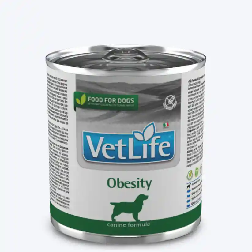 Farmina Vet Life Obesity Wet Food For Dog 300g