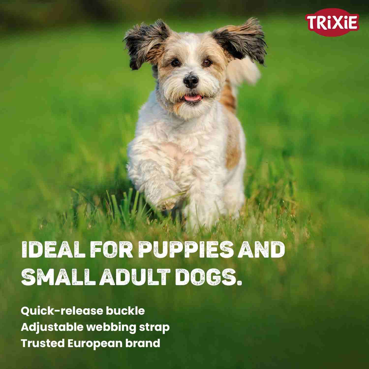 Trixie Premium Nylon Dog Collar (Curry)
