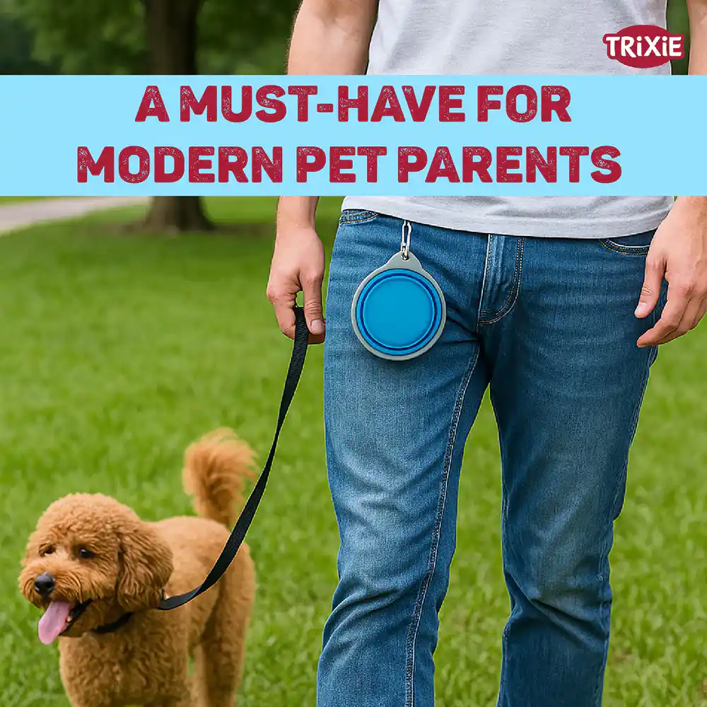 Trixie Foldable Silicon Travel Bowl for Dogs and Cats (Blue/Gray)