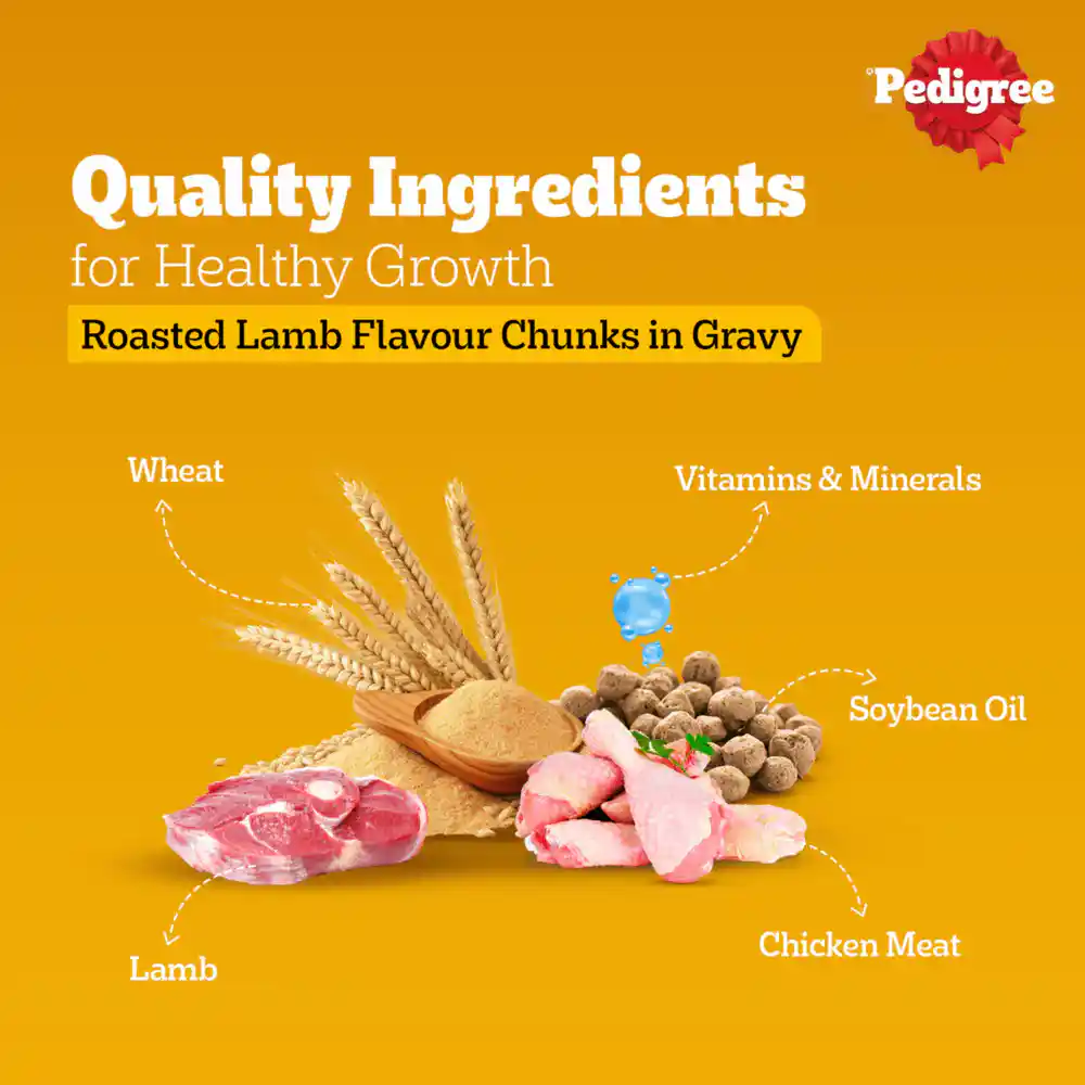 Pedigree Pouch Adult Lamb Chunks In Gravy Wet Food for Dogs, 70g