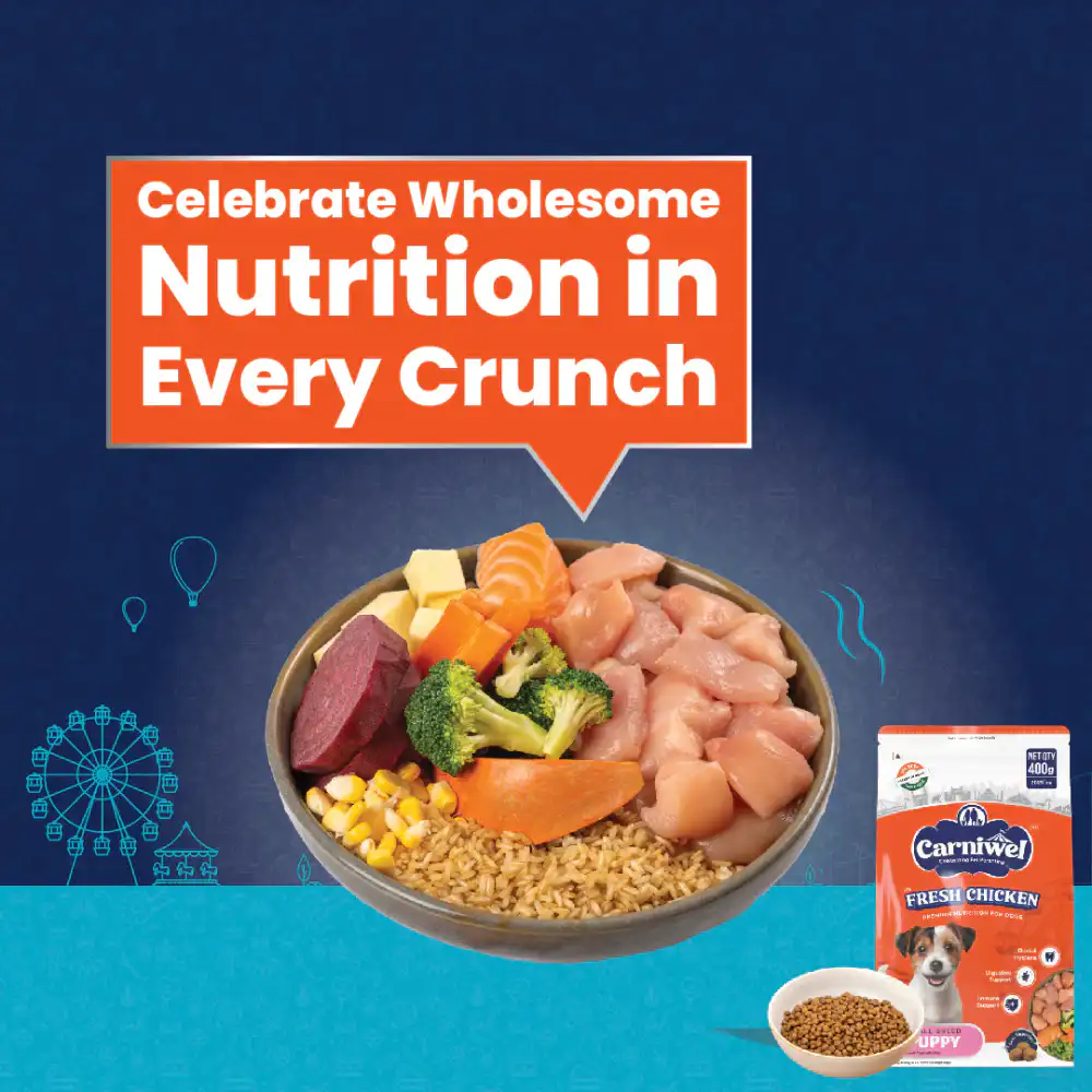 Carniwel Fresh Chicken Puppy Small dogs 1KG – (Best Before Feb’26)