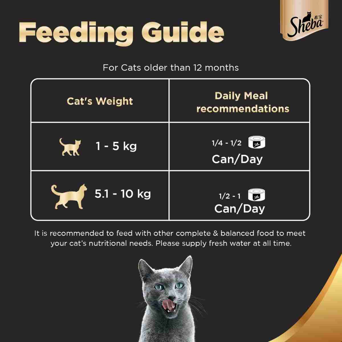Sheba Deluxe Pure Tuna White Meat in Jelly Adult Wet Cat Food Can - 85g