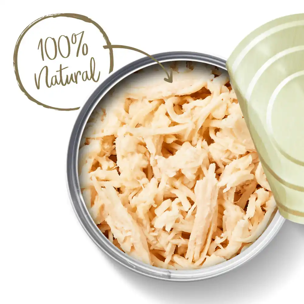 Applaws Chicken Breast Tinned Cat Wet Food, 70 g