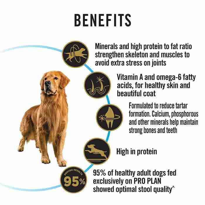 Purina Pro Plan Essential Health Joint and Mobility Large Breed Adult Dog Food 3kg