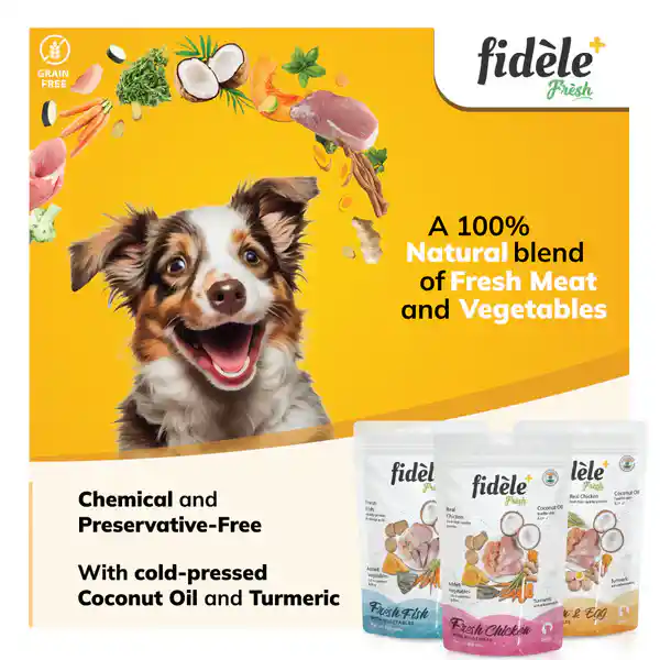 Fidele Fresh Chicken and Egg With Veg Pouch For Dogs 100g
