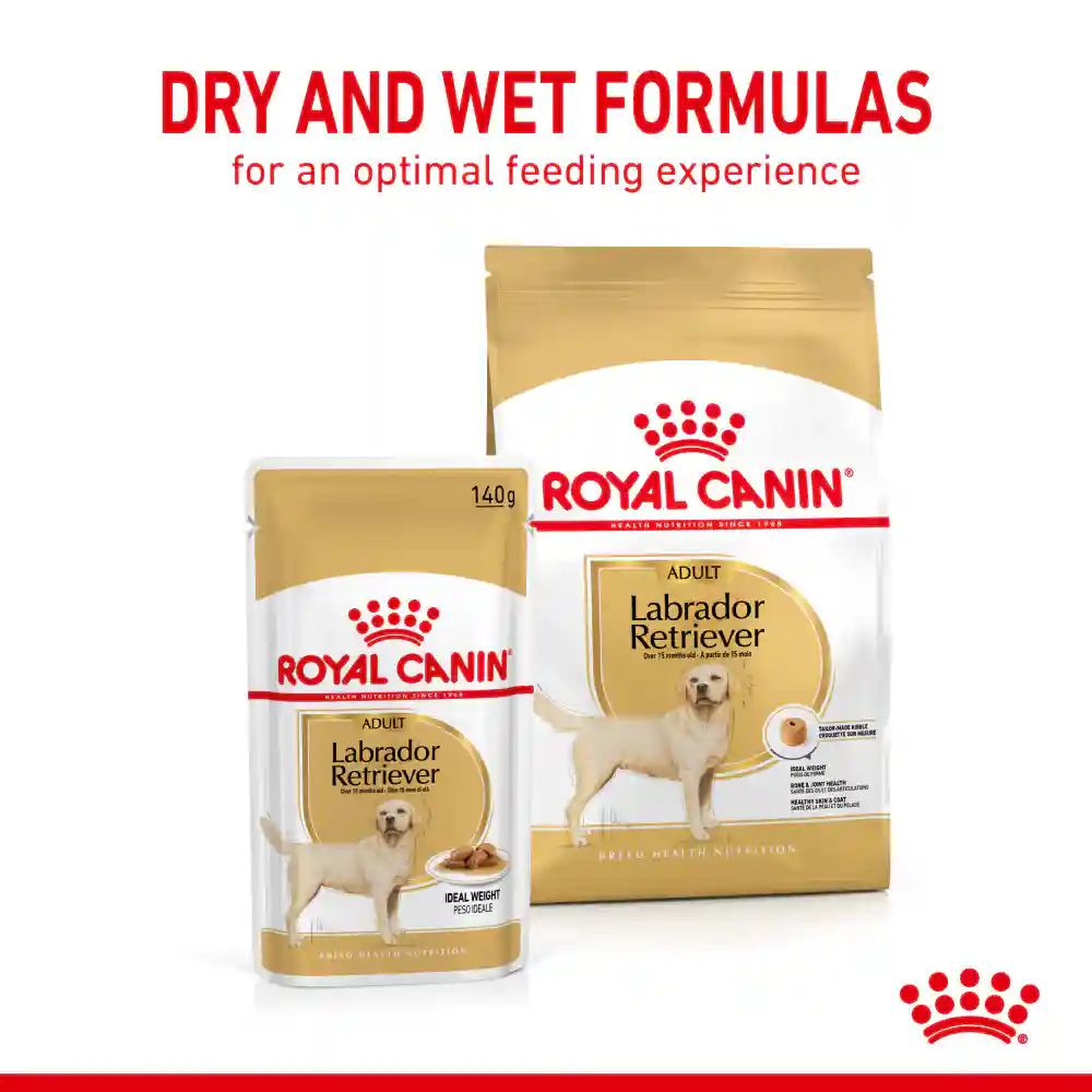 Royal Canin Chunks In Gravy Labrador Retriever Adult Wet Dog Food, 140g
