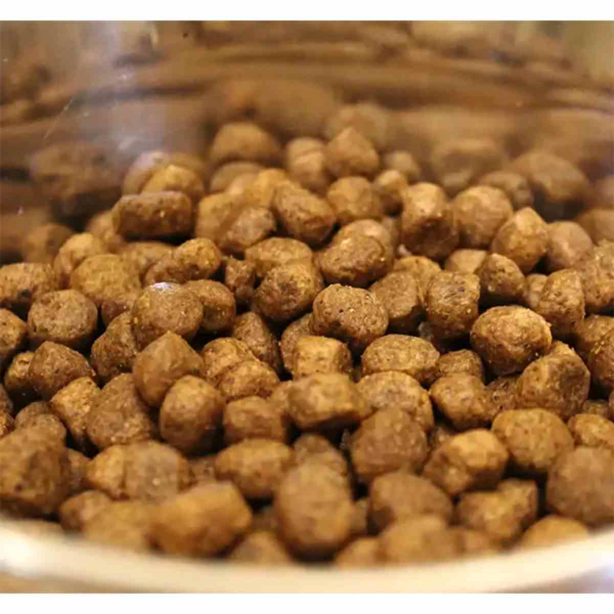 Acana Puppy and Junior Dry Dog Food