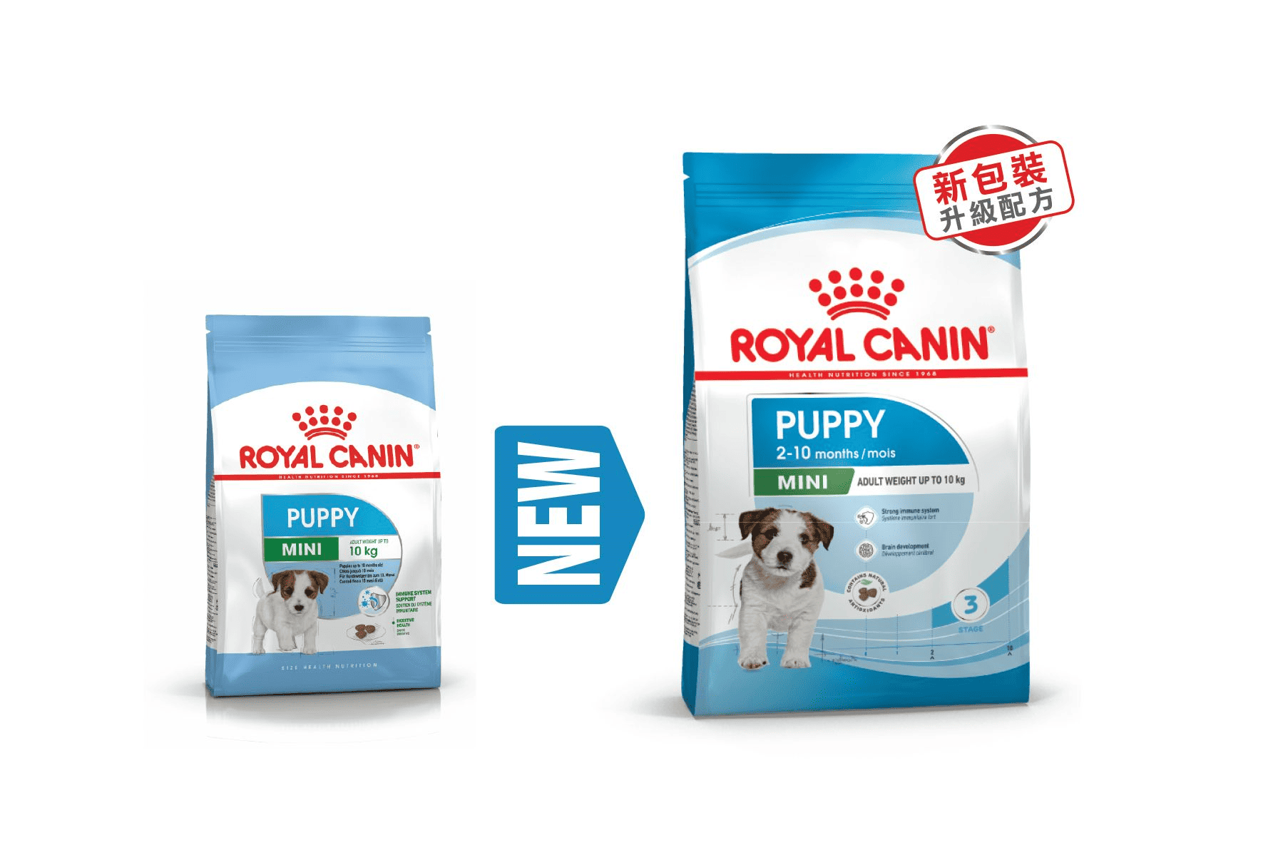 Royal Canin SHN Mini Puppy Dry Food, 2kg
