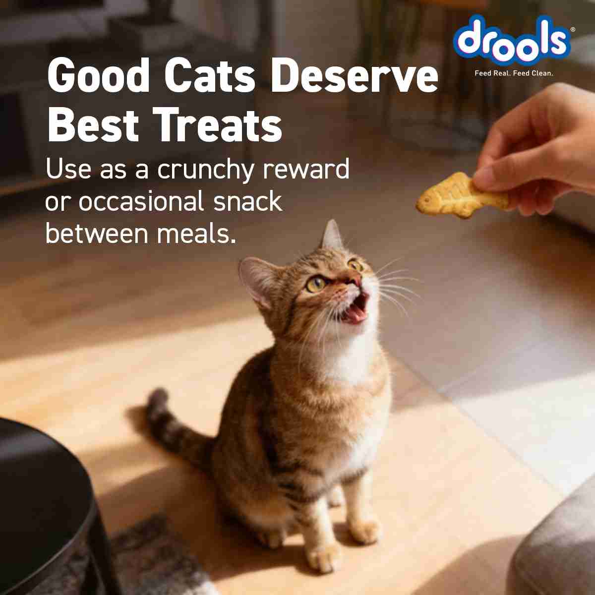 Drools Real Chicken Biscuits Cat Treats for All Life Stages, Jar