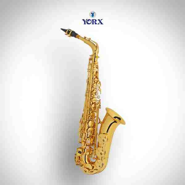YORX HAS-950 Student Alto Saxophone, Brass Body with Gold Lacquer Finish 3