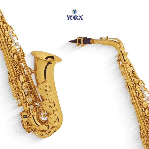 YORX HAS-950 Student Alto Saxophone, Brass Body with Gold Lacquer Finish 4