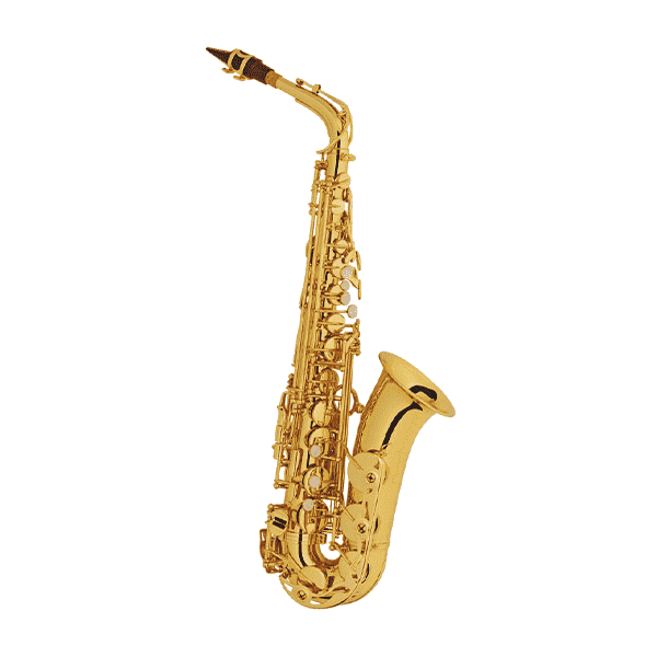 YORX HAS-950 Student Alto Saxophone, Brass Body with Gold Lacquer Finish 6