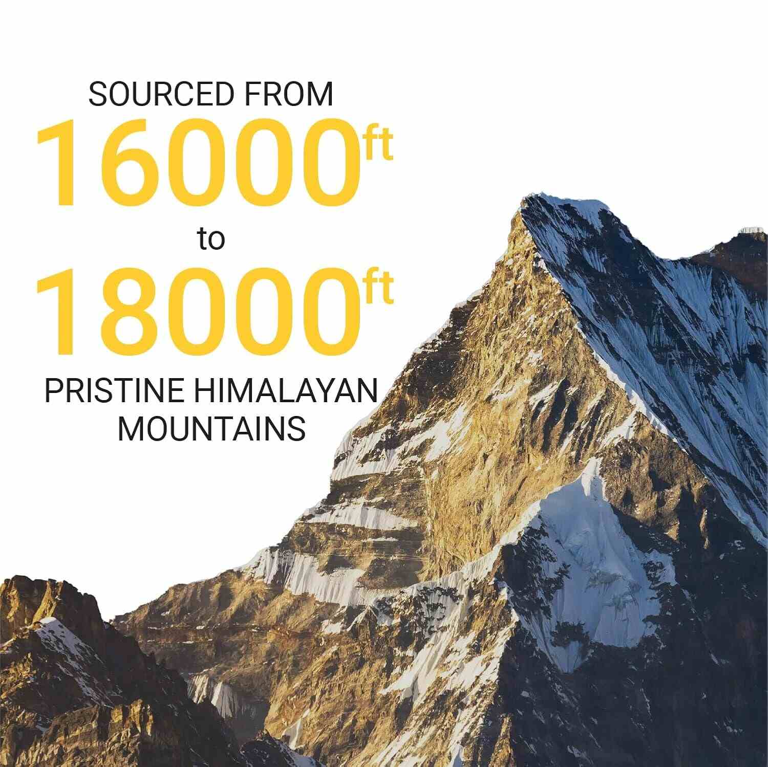 YourHappyLife | Pure Himalayan Shilajit Gummies | Pack of 1 | 60 Gummies