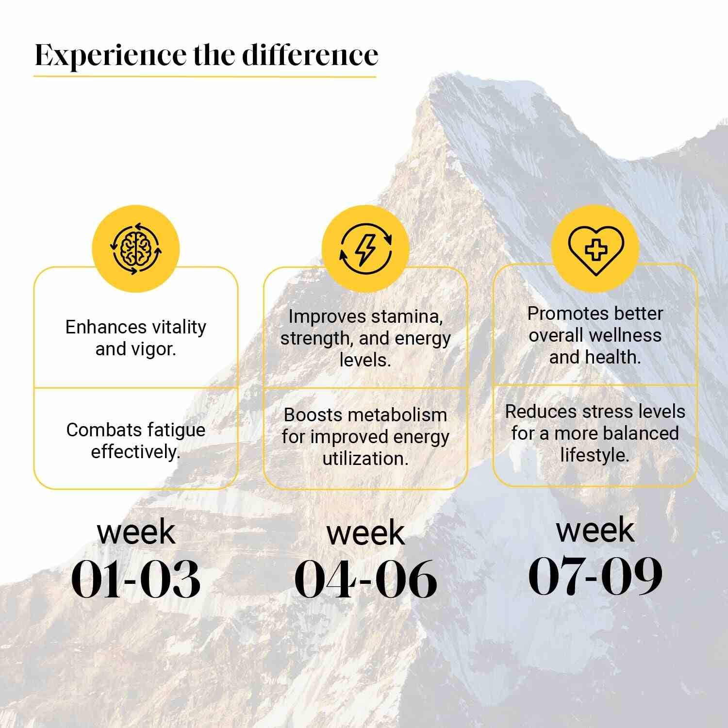 YourHappyLife | Pure Himalayan Shilajit Gummies | Pack of 1 | 60 Gummies