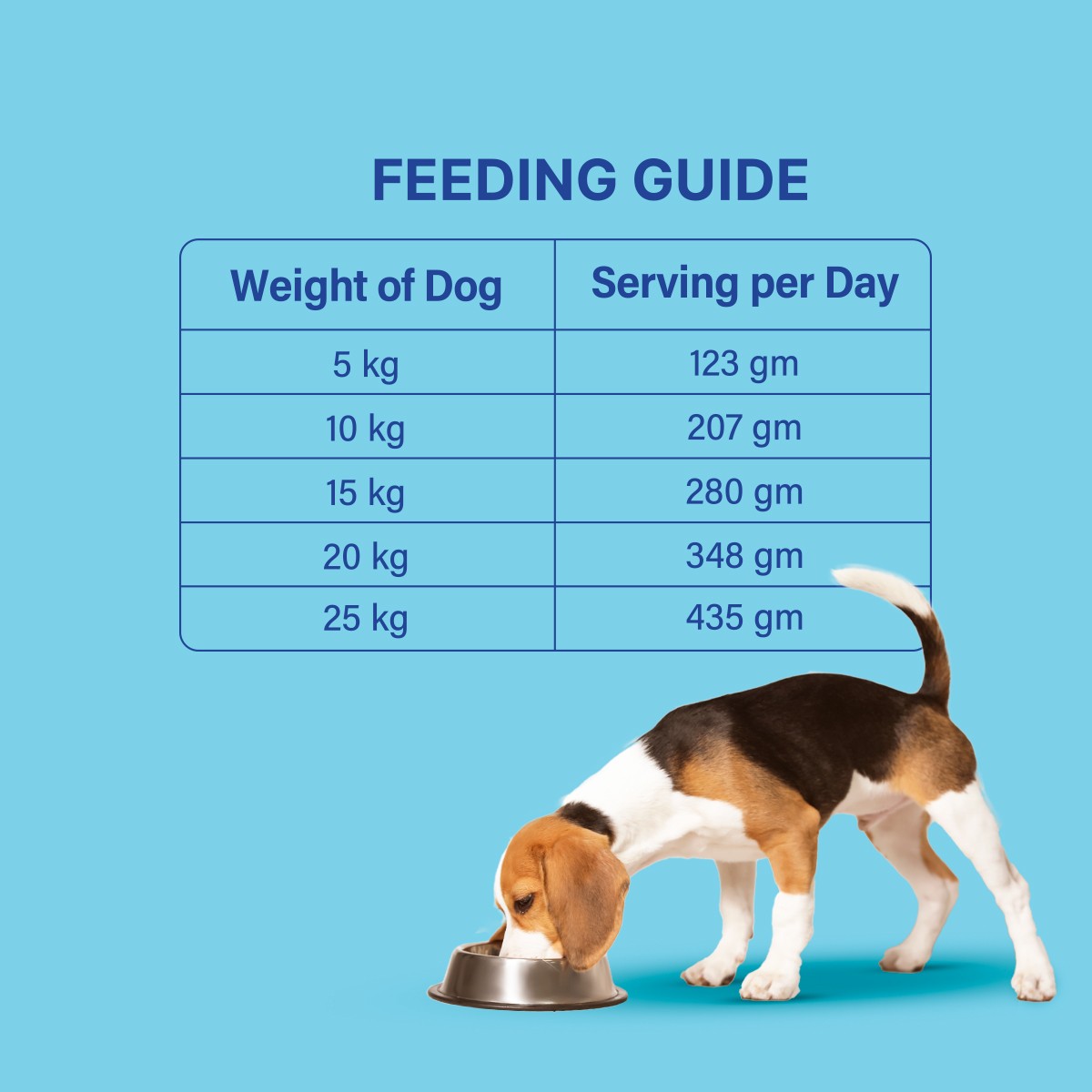 Scrummy Adult Dog Dry Food - 3 KG